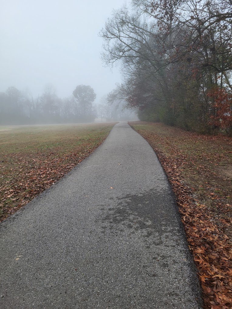 2025: Year in Review